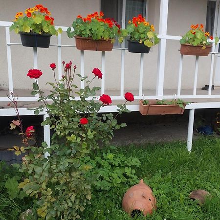 Guest House Lela Rezo Kazbegi Luaran gambar